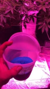 Hand holding a container with blue granules under pink light.