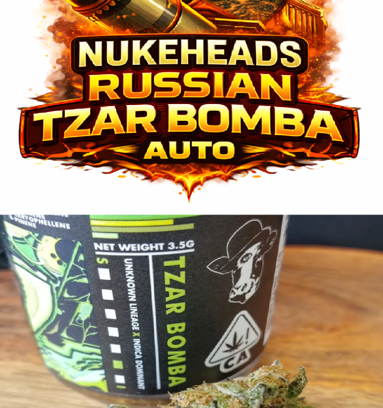 Packaging for Nukeheads Russian Tzar Bomba Auto cannabis seeds.