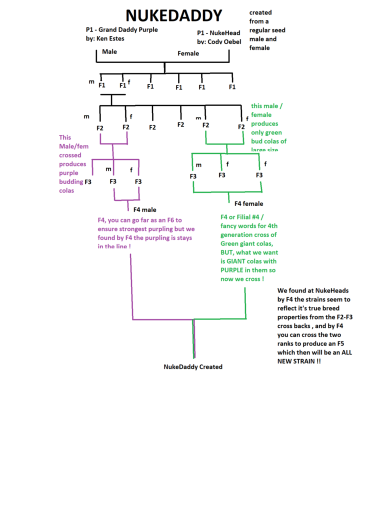 Flowchart illustrating procedures to reach a roadblock scenario based on vehicle and pedestrian conditions.