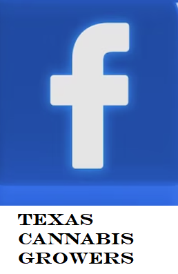 Close-up of a Facebook logo with the word TEXAS below.