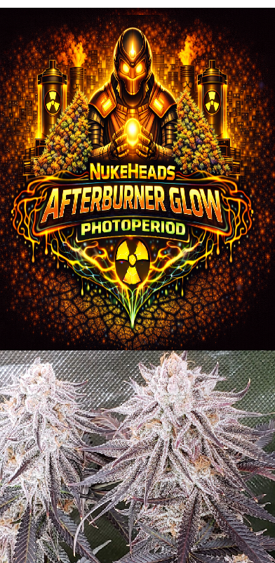 Close-up of frosty cannabis buds under a colorful promotional logo.