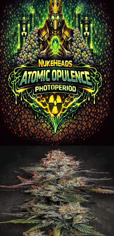 Glowing neon sign of 'Nukeheads Atomic Opulence Photoperiod' with radioactive design.
