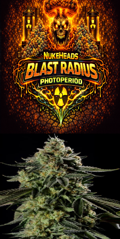 Logo and close-up of Blast Radius Photoperiod cannabis bud.