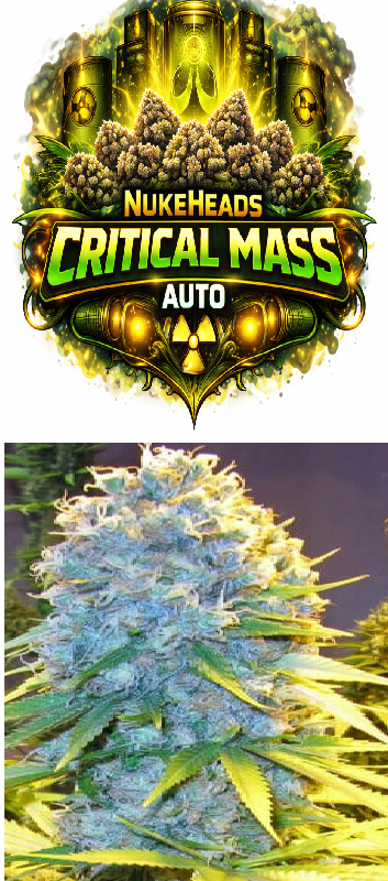 Logo for Critical Mass Auto with a radioactive symbol.