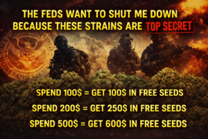 Advertisement for a game hack with offers on in-game currency purchases.