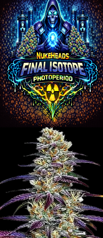 Colorful cannabis bud under a vibrant Final Stop Photoperiod logo.