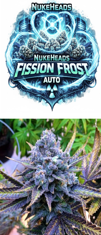 Logo of Fission Frost Auto with icy blue design and radiation symbol.