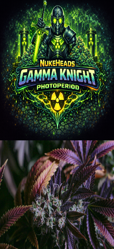 Logo of Gamma Knight Photoperiod with a glowing plant image.