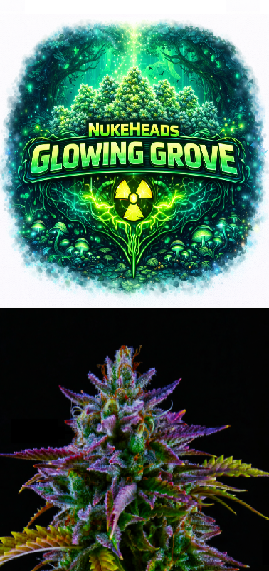 Glowing Grove logo with a radioactive symbol and a vibrant cannabis bud.