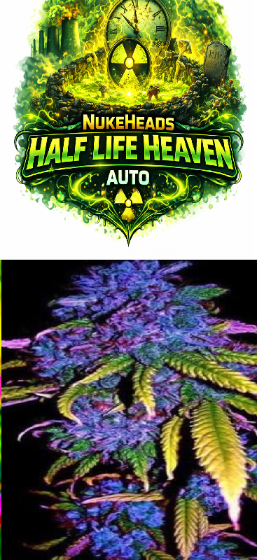 Vibrant logo and colorful cannabis plant display.