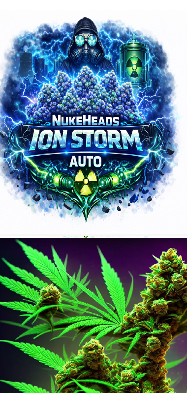 NukeHeads Ion Storm Auto cannabis packaging and buds.
