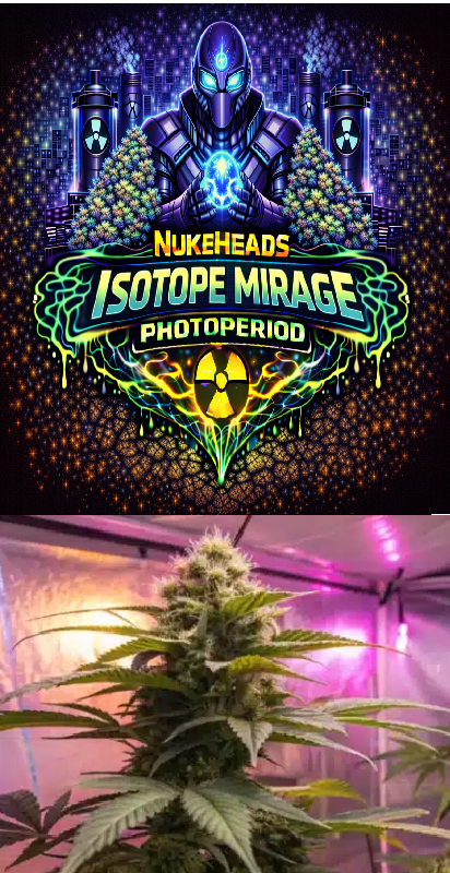 Logo of Nukeheads Isotope Mirage Photoperiod with a cannabis plant under purple grow lights.