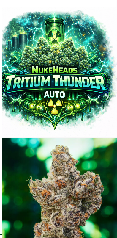 Logo of NukeHeads Tritium Thunder Auto cannabis strain.